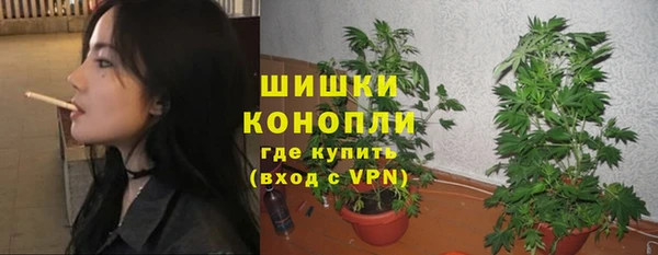кокс Касимов