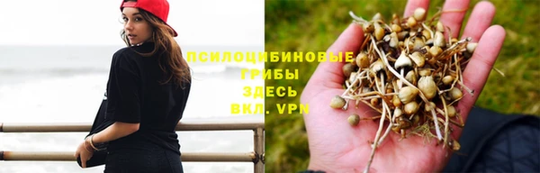 круглые Алзамай